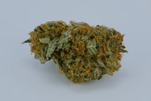 Unveiling the Enigma of Angola Roja: The World's Rarest Ancient Sativa Cannabis Strain