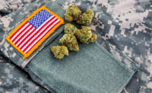 Cannabis and Veterans: Relief for PTSD